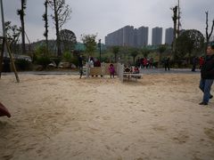 -枫香湖儿童公园