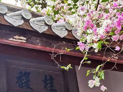 -深圳国际园林花卉博览园