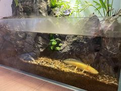 餐具摆设-默迹咖啡馆