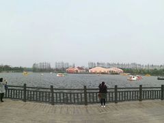 -上海长兴岛郊野公园