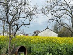 -PGA安瀛高尔夫球俱乐部
