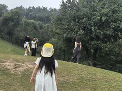 -关山草原