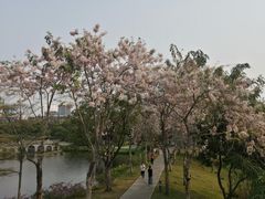 -四海公园(南山区)