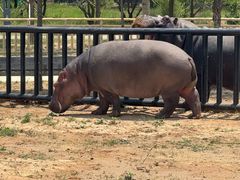 -鄂尔多斯野生动物园