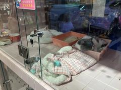 -FAELING PETS美天灵宠物(富力广场店)