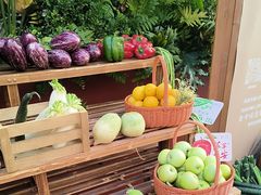 -蘑界·野生菌火锅(深业上城店)