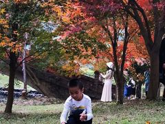-田野绿世界