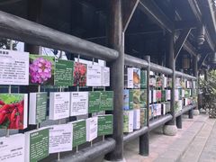 -白鹭湾湿地公园