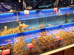 水产区-必点海鲜·鲅鱼水饺(鞍山西道店)