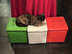 -EATALIA意塔利意式餐厅(鼓楼店)