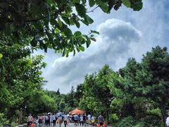 -南岳衡山风景名胜区