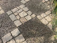 -秋霞圃
