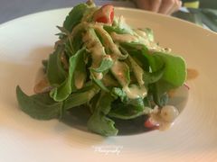 冰草胡麻沙律-T館·花园艺术餐厅
