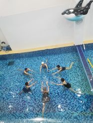-昕孕瑜伽·孕妇瑜伽·产后修复