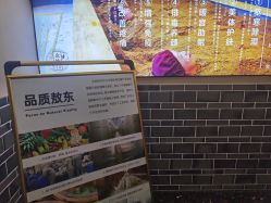 -敖东酵素·离子暖房