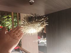 -肆月河豚·淮扬菜·湘菜(华天店)