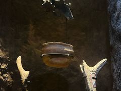 -上海崧泽遗址博物馆