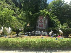 -广州白江湖森林公园