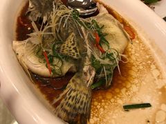 清蒸桂花鱼-金城大酒店-中餐厅(汾江中路店)