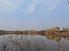 -东郊湿地公园