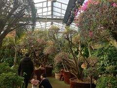 -呀路古热带植物园