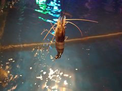 -钳真多钓虾馆·小龙虾海鲜烧烤(九六广场店)