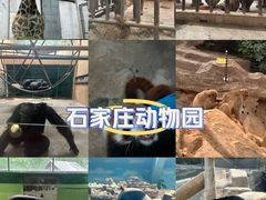 -石家庄市动物园