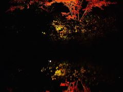 -遵化市禅林寺古银杏风景园