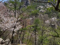 -崂山巨峰游览区