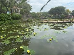 -广州莲花山旅游区