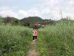 -红山村