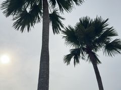 -圣淘沙名胜世界