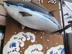 -黑潮市场
