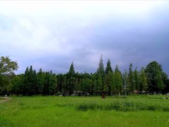 -两河城市森林公园