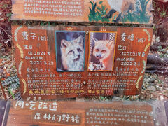 -红山森林动物园