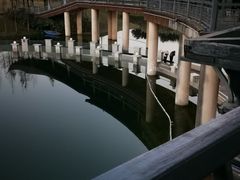 -眉山湿地公园(东坡区)