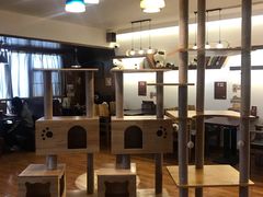-喵园·猫主题咖啡厅·撸猫·猫咖(国贸店)