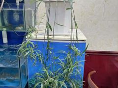 -公寓家常菜馆(海军博物馆店)