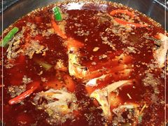 -蜀滋香鲜鱼美蛙火锅(339店)