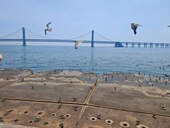 -星海广场