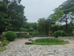 -东莞植物园