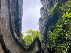 -梭布垭石林景区