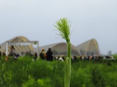 -中国天府农业博览园