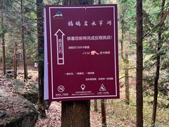 -四明山国家森林公园