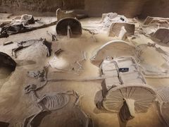 -洛阳周王城天子驾六博物馆