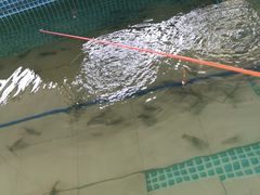 -小象钓虾·营地烧烤(洛溪店)