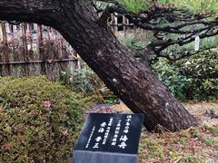 -南紀白浜 浜千鳥の湯 海舟