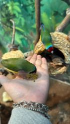 -Zoolung Zoolung动物主题公园(海信广场店)