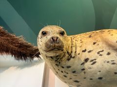 -国家自然博物馆