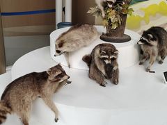 -陕西自然博物馆